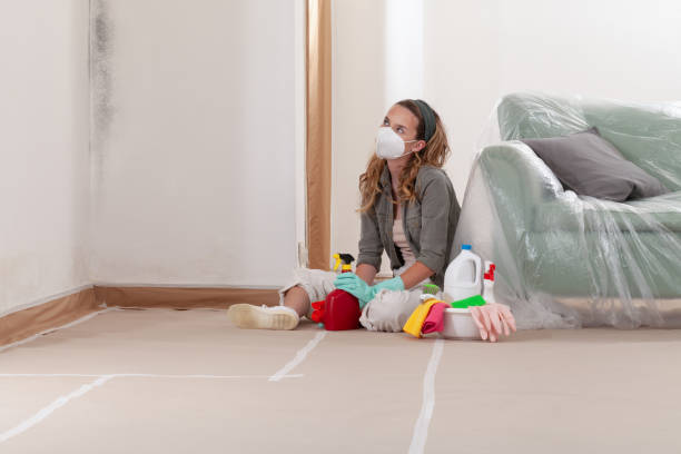 Reliable Commercial Mold Remediation contractor in El Mirage, AZ by WQB Mold Removal